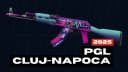 PGL Cluj-Napoca 2025