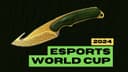 Esports World Cup 2024