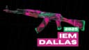 IEM Dallas 2025