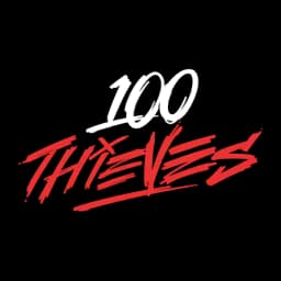 100 Thieves